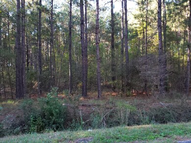 20201119_144946