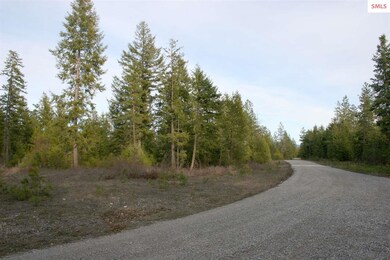 NNK B6 Northern Sky Rd, Athol, ID 83801 - photo 2