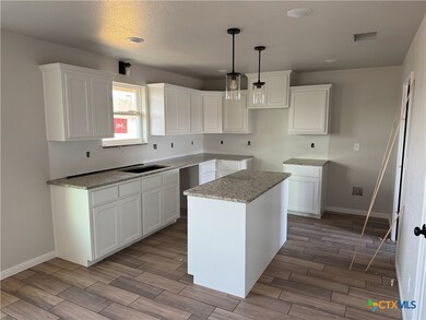 2558 Cowgirl Trail, Belton, TX 76513 - photo 6