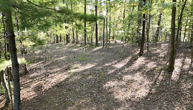 113 Foley Rd, Stuart, VA 24171 - photo 5