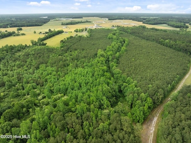 Tbd N Carolina 50, Wallace, NC 28466 - photo 7