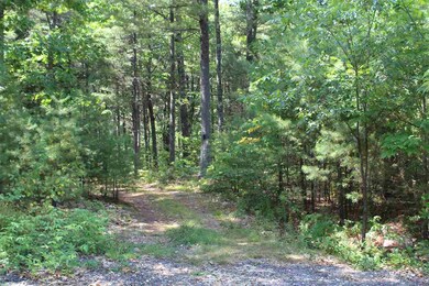 Lot #7 Deer Ridge Rd, Wakefield, NH 03872 - photo 6