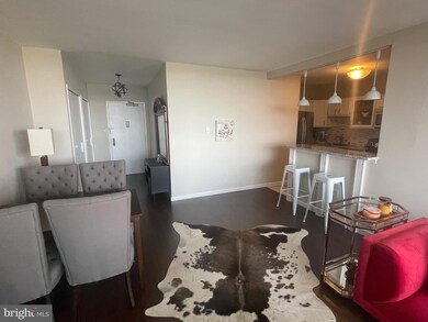 Skyline Plaza unit 2608S, Baileys Crossroads, VA 22041 - photo 7