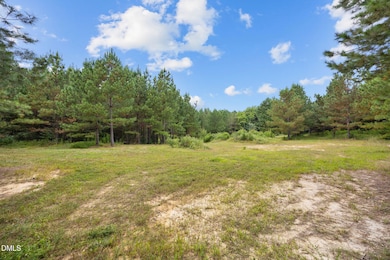 Lot 2 Wolf Tree Way, Efland, NC 27243 - photo 6