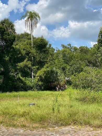 0 Palm Bluff St, Clearwater, FL 33755 - photo 3