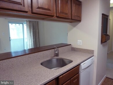1704 Mount Washington Ct unit M, Baltimore, MD 21209 - photo 3