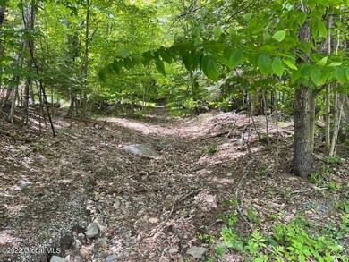 00 S Shore Rd, Day, NY 12835 - photo 2