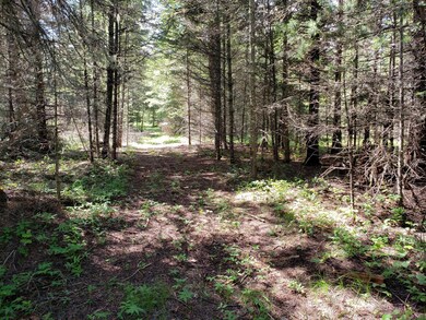 209 & 213 Sherman Ln, Bigfork, MT 59911 - photo 3