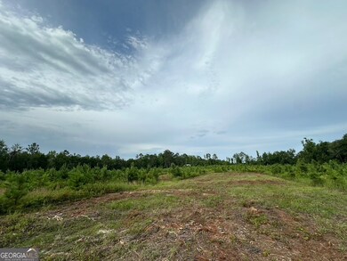 0 Bennett Colter Rd unit 10542243, Rentz, GA 31075 - photo 6