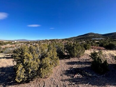 Lot 14 Diamond Tail Rd, Placitas, NM 87043 - photo 2