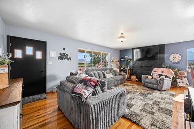 3445 C 1 2 Rd, Palisade, CO 81526 - photo 7