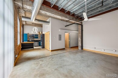 2201 Locust St unit 301, Saint Louis, MO 63103 - photo 5