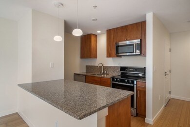 Audubon Park unit 404, Boston, MA 02215 - photo 6