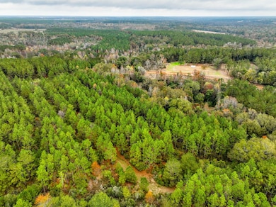 7 Lot E County Road 682, Coffee Springs, AL 36318 - photo 2