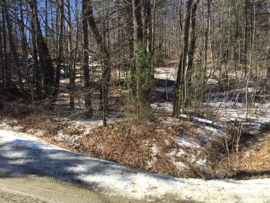 0 Upper Podunk Rd unit 4474759, Wardsboro, VT 05360 - photo 2
