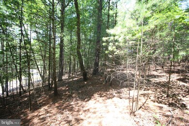 Lot 14 Slate Rock Pass Rd, Wardensville, WV 26851 - photo 5