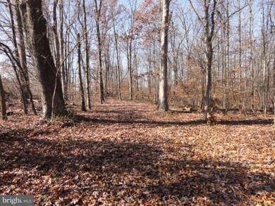 0 Mount Gilead Rd unit 1000602785, Leesburg, VA 20175 - photo 4