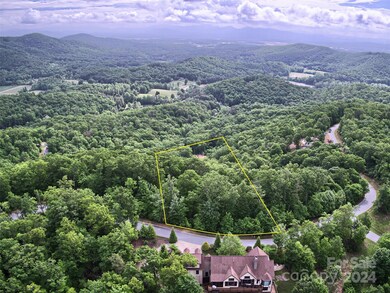 1094 Mills River Way unit 46, Horse Shoe, NC 28742 - photo 3