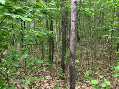 Lot 8 Somo Ridge Dr, Tomahawk, WI 54487 - photo 2