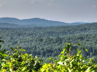 0 Walker Dr unit 416599, Morganton, GA 30560 - photo 4