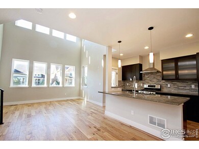 521 Cajetan St, Fort Collins, CO 80524 - photo 4