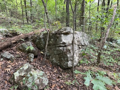 Tract 3 4 unit Terrapin Road, Harrison, AR 72601 - photo 2