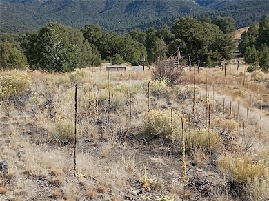 118 Porcupine Rd, Cotopaxi, CO 81223 - photo 2