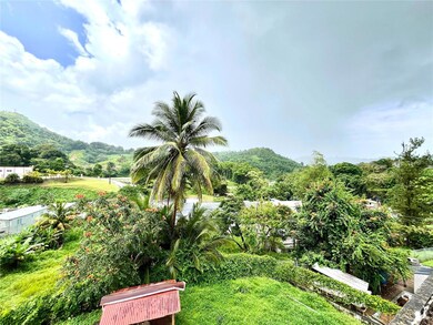 PR-164 Lomas Jaguas Ward, Naranjito, PR 00719 - photo 2