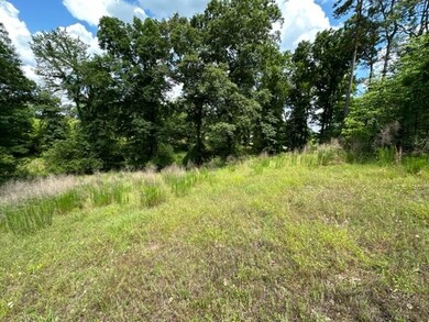 92 County Road 1032, Oxford, MS 38655 - photo 3