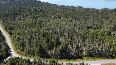 DJI_0390