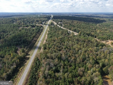 412 Georgia 137, Cusseta, GA 31805 - photo 5