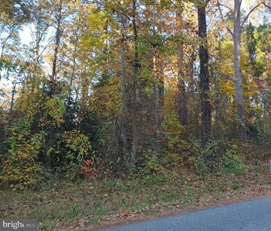 0 Dockser Dr unit MDSM2002908, Mechanicsville, MD 20659 - photo 2