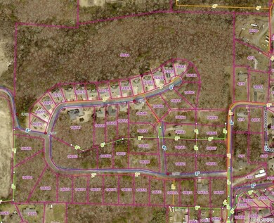 000 Palos Verdes Dr, Hot Springs, AR 71913 - photo 2