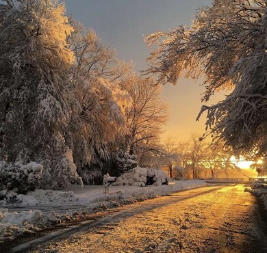 15 Arboro Dr, Sharon, MA 02067 - photo 4