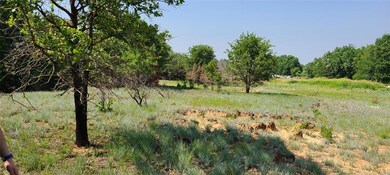 2750 Carter Rd, Springtown, TX 76082 - photo 3