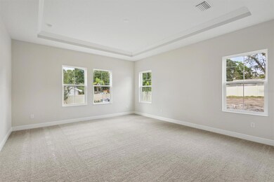 4630 Cedar Fog Ct, Valrico, FL 33596 - photo 4