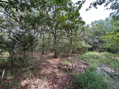 000 Jamestown Ln, Neosho Township, MO 64850 - photo 3