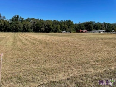 X7-G-1-A2B Blue Ln, Sorrento, LA 70778 - photo 3