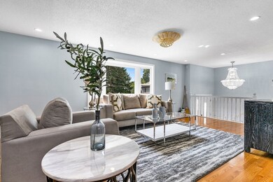 20 Salman St, West Roxbury, MA 02132 - photo 5