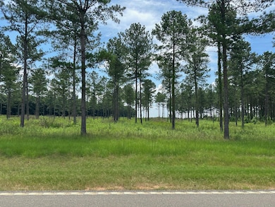 0 Chappell Rd unit 543723, Waynesboro, GA 30830 - photo 7