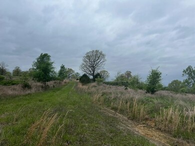 0 State Highway D, Thornfield Township, MO 65762 - photo 5