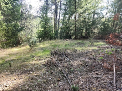 1196 Doe Rd, Rail Road Flat, CA 95245 - photo 6