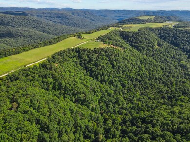 19987 Winfrey Valley Rd, Winslow, AR 72959 - photo 5