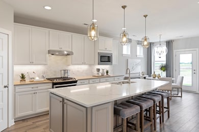 9961 Jack Pine Ln, Corcoran, MN 55340 - photo 5