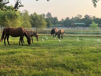 25413 T k c Rd, Tomball, TX 77375 - photo 6