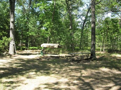 8216 W Columbine Ave, Baldwin, MI 49304 - photo 4