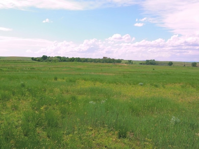 0 Gobbler Ln unit Lot 56 Gobbler Ln. R, Smithwick, SD 57782 - photo 4