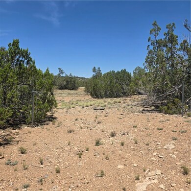 32220 W Conejo Rd, Seligman, AZ 86337 - photo 6