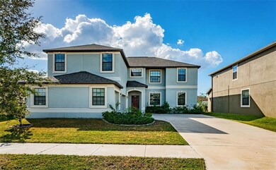 13939 Felix Will Rd, Riverview, FL 33579 - photo 2