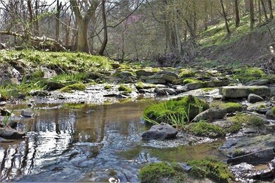 711 Bethel Rd, Harrodsburg, KY 40330 - photo 6